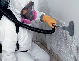 Best Mold Remediation for Healthcare Facilities  in Double Oak, TX